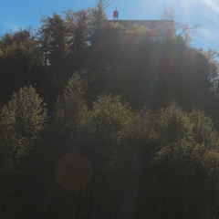 Hundetreffen 2014 im Allgäu (8)